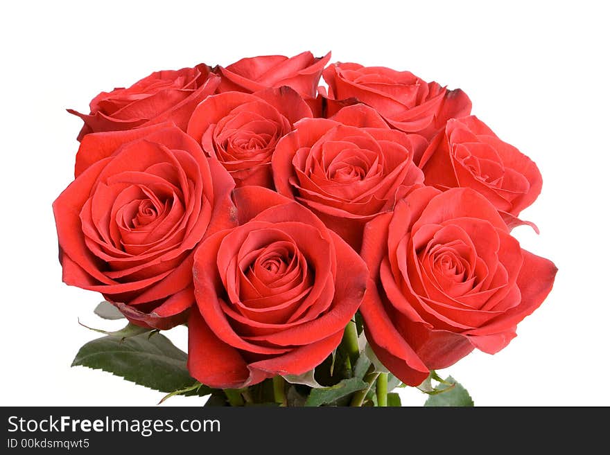 Close up of red roses isolated on a white background