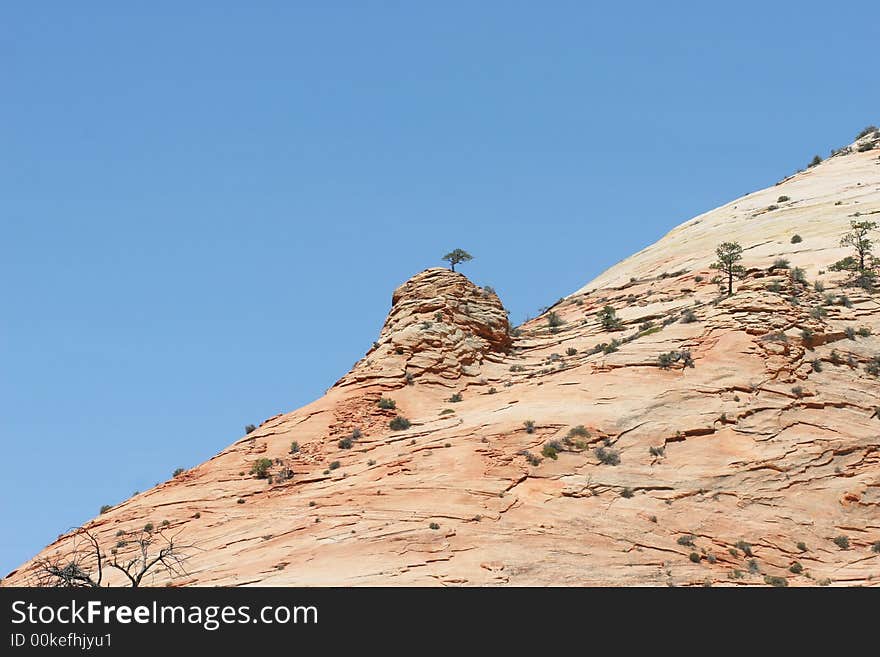 Desert Landscape