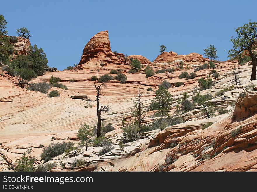 Desert Sandstone