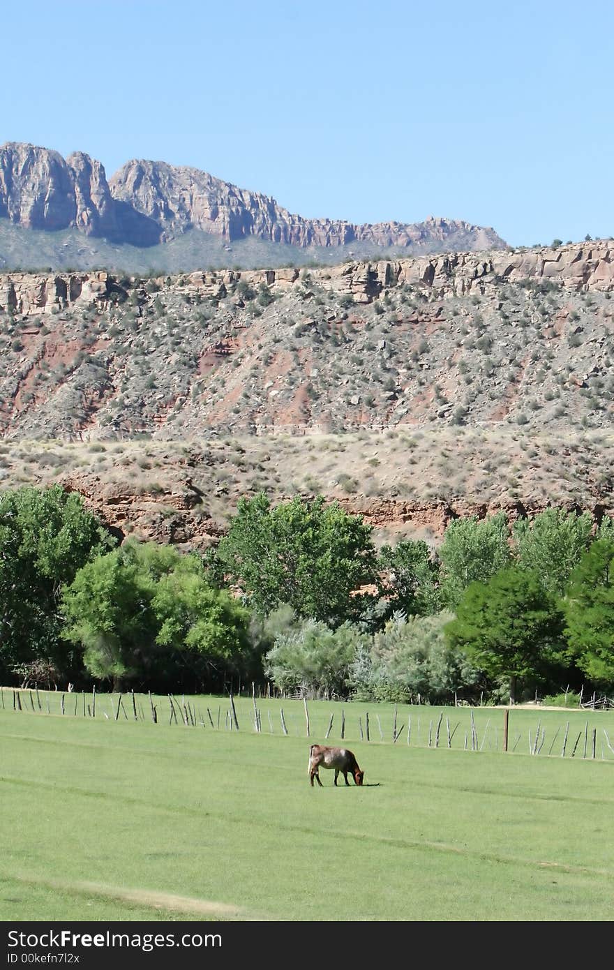 A lone cow grazes peaceful in front of a beautiful mountain range