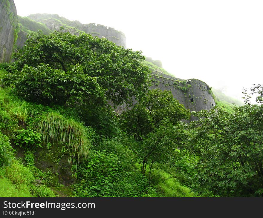 A greenery on ancient fort. A greenery on ancient fort.