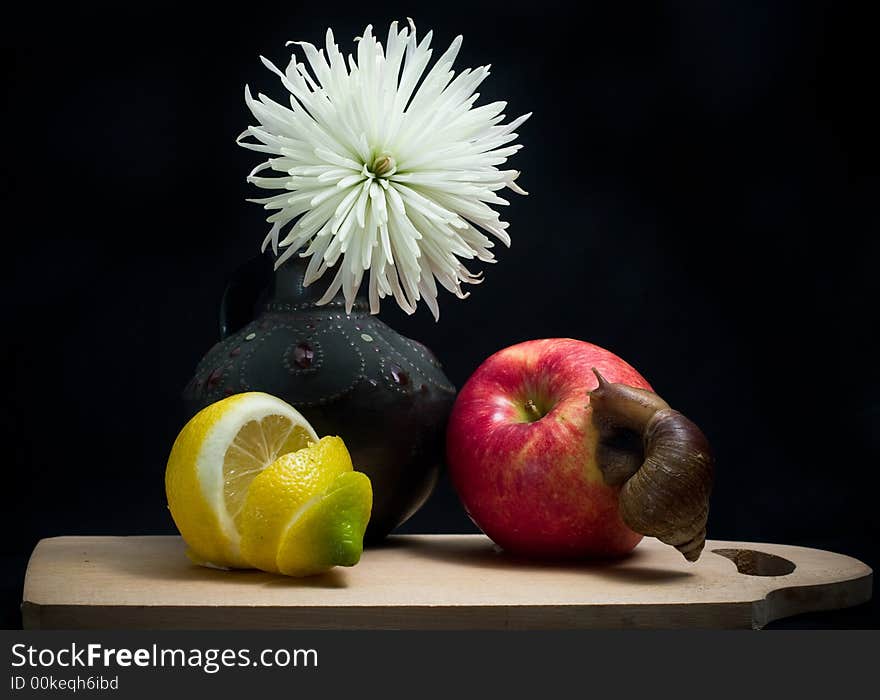 Still life with snail, vase and fruits. Still life with snail, vase and fruits