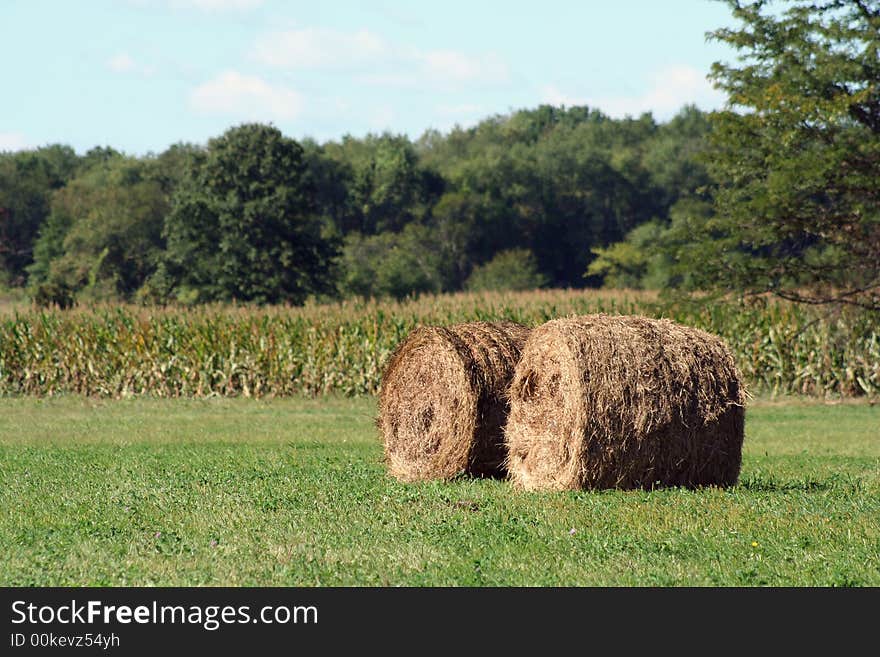 Two Hay rolls near a corn field