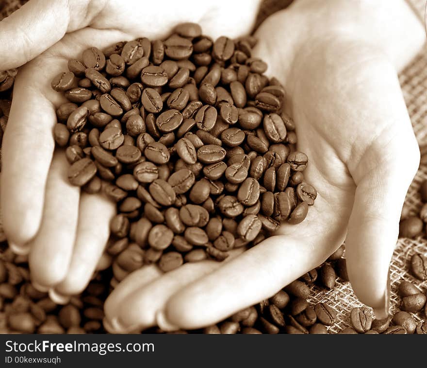 Grains of coffee on hands