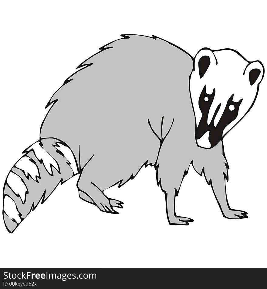 Art illustration of a coatimundi