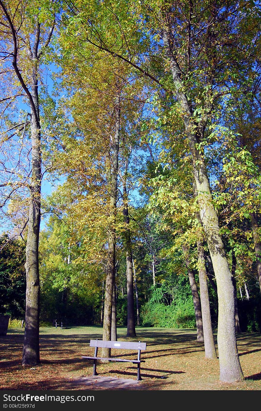 Park Bench