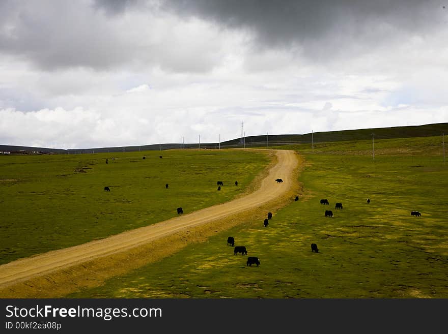 Tibet landscape