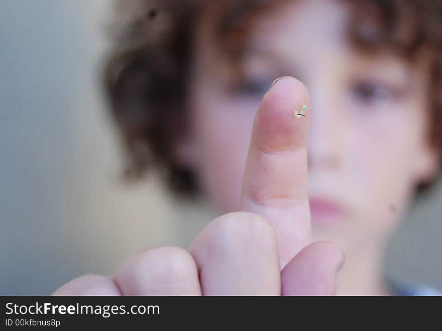 Boy showing off juvenile Tobcco hornworm. Boy showing off juvenile Tobcco hornworm
