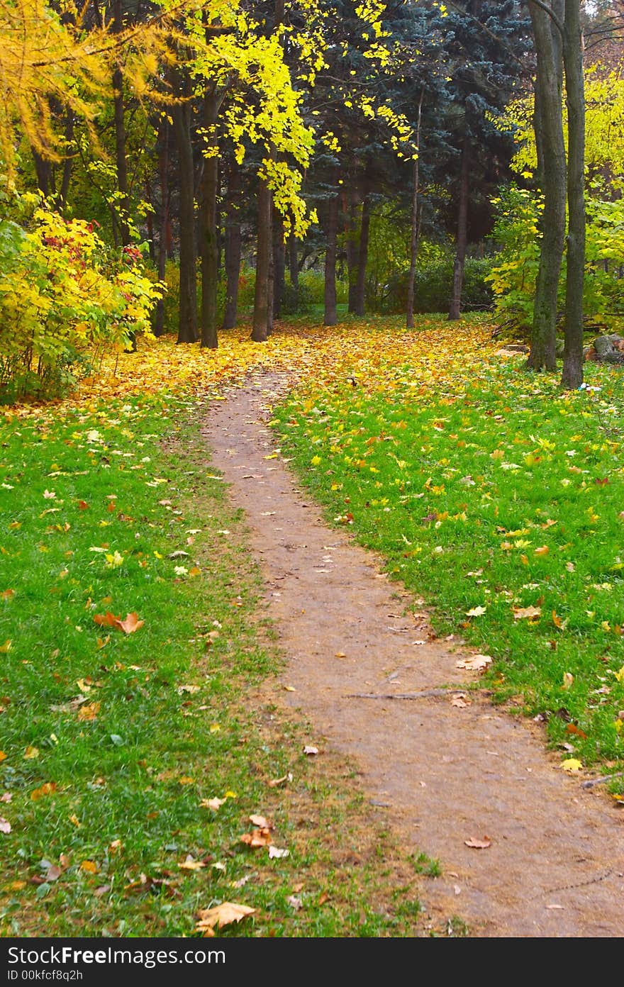 The nice october autumn park