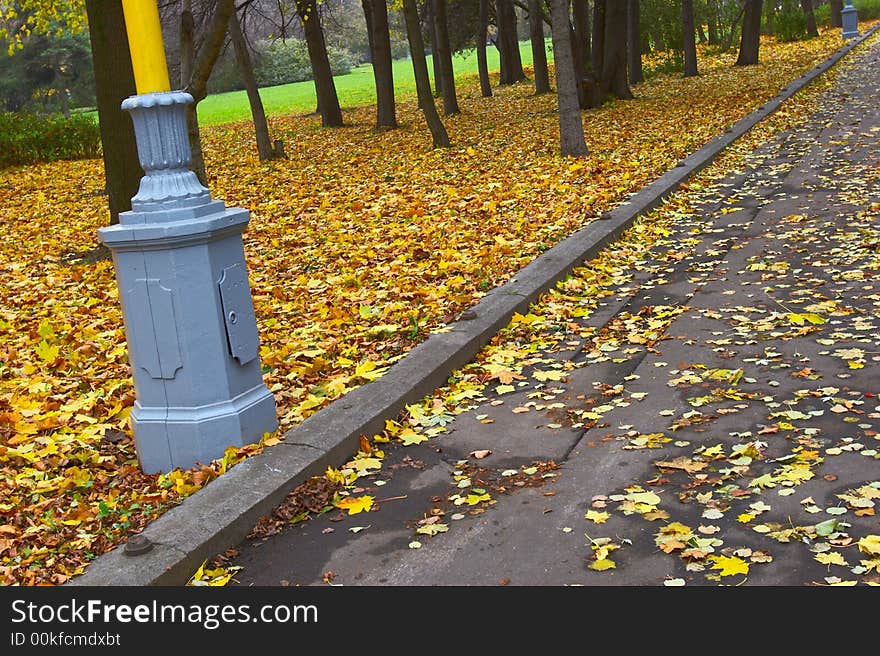 The nice october autumn park