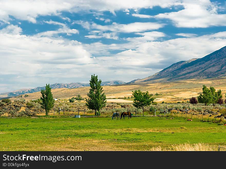 A scenic landscape in Lava Hot Springs, Idaho, with two horses far in the background