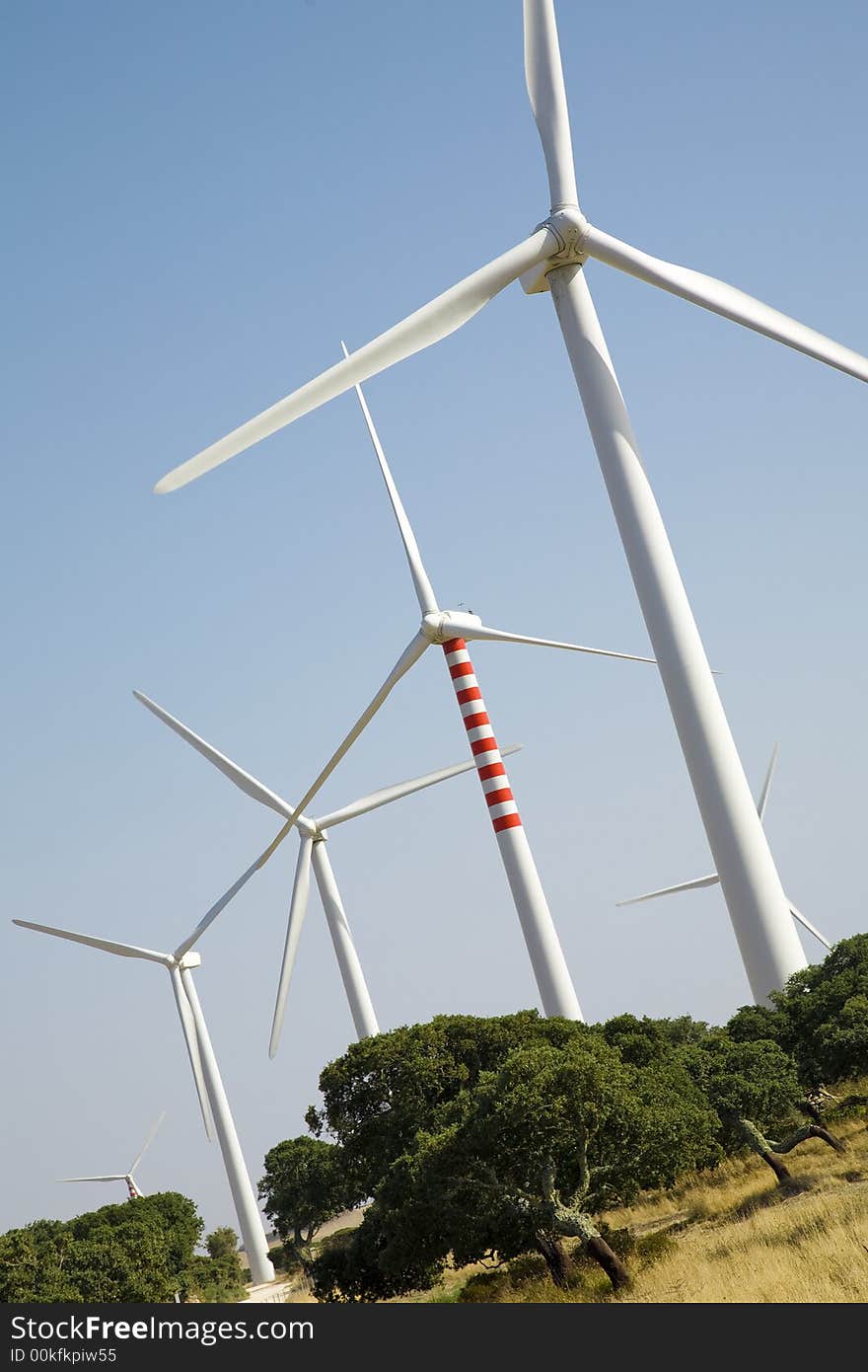 Environmental conservation: wind turbines in the field