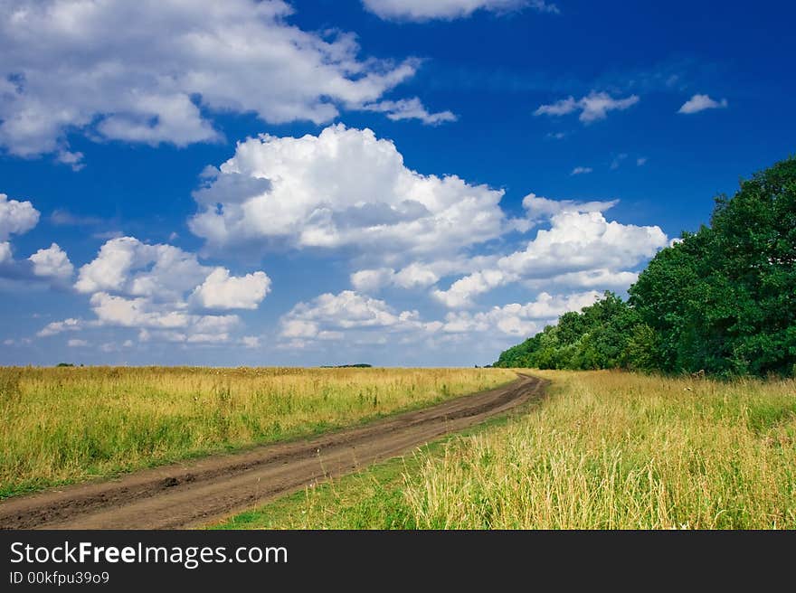 Summer landscape with the dark blue sky, green trees and road.