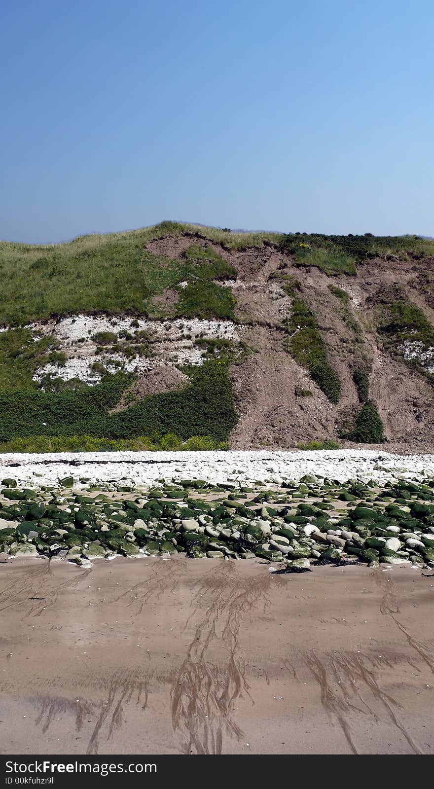 Flamborough cliff