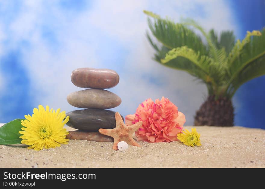 Stones on Beach With Flowers and Sea Shells With Blue Sky