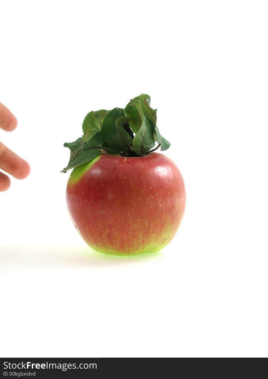 The isolated red apple with a hand and green foliage on a white background apple. The isolated red apple with a hand and green foliage on a white background apple