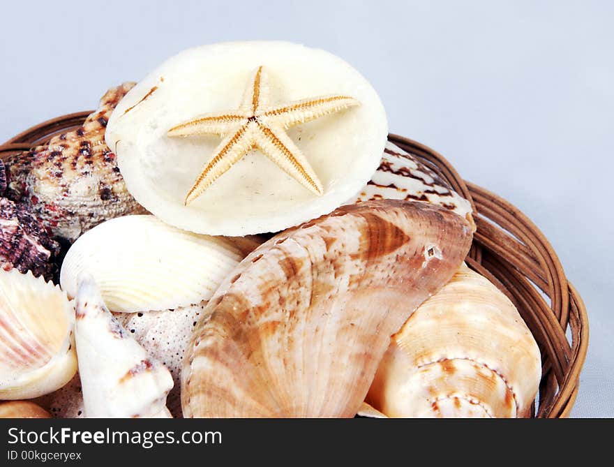 Close-up of a basket of shells with starfish. Close-up of a basket of shells with starfish.