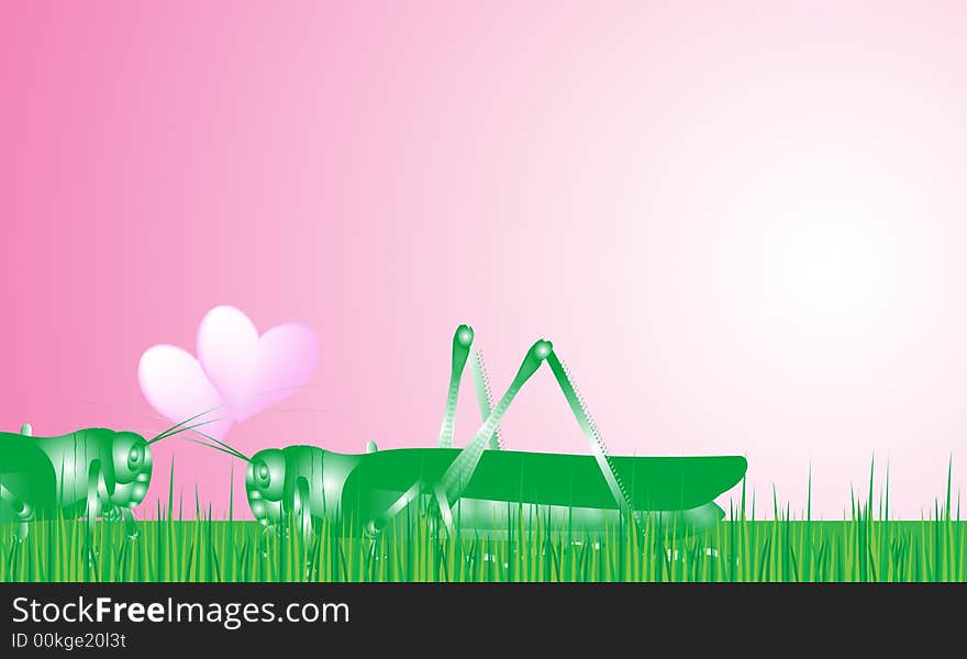 Grasshopper love romantic on grass. Grasshopper love romantic on grass