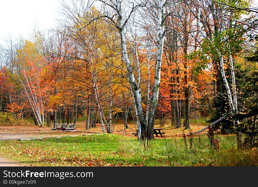 Scenic Autumn Time