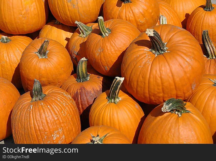 Pumpkins in a pile on a sunny day