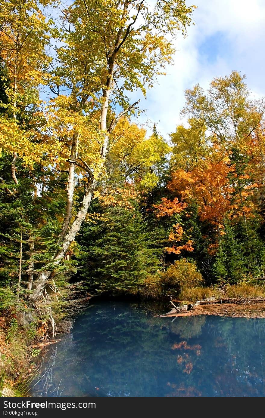 Colorful trees by blue water lake in a forest. Colorful trees by blue water lake in a forest