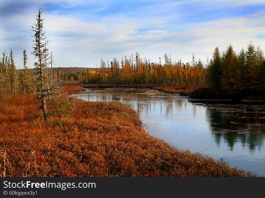 Colorful trees in a state park during autumn time. Colorful trees in a state park during autumn time