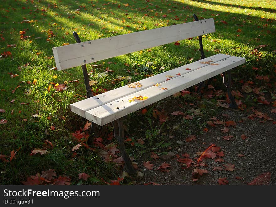 Empty white wooden bench in a park covered with colorful fallen leafs. Empty white wooden bench in a park covered with colorful fallen leafs