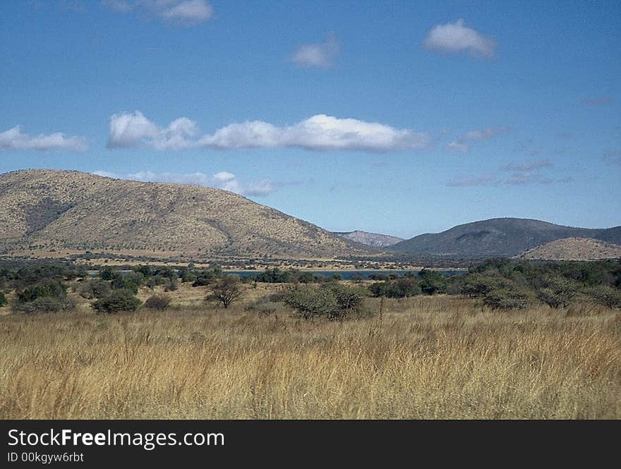 Open bush land in the south african countryside. Open bush land in the south african countryside