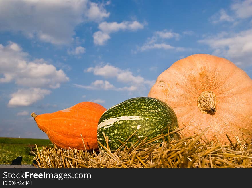 Three color pumpkins on hay