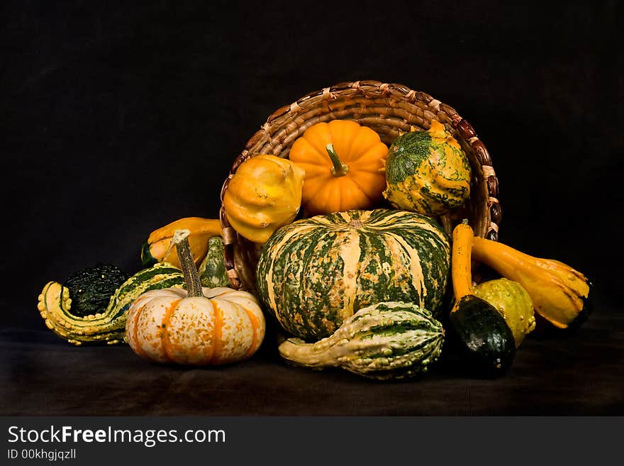 Miscellaneous pumpkins and gourds on dark background