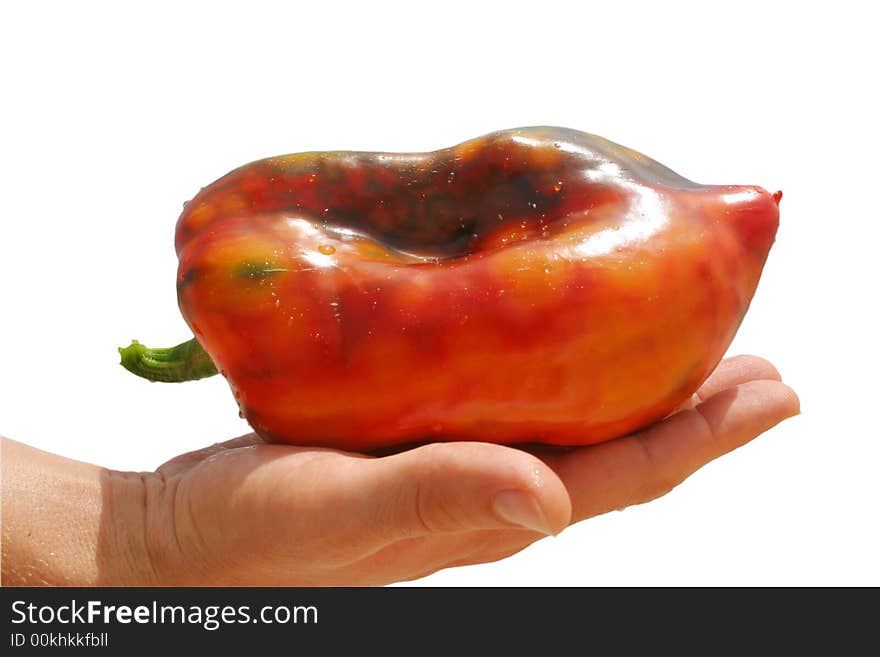 Isolated Pepper