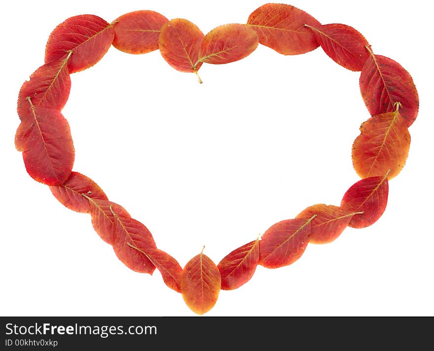 Heart-shaped leaves frame background isolated