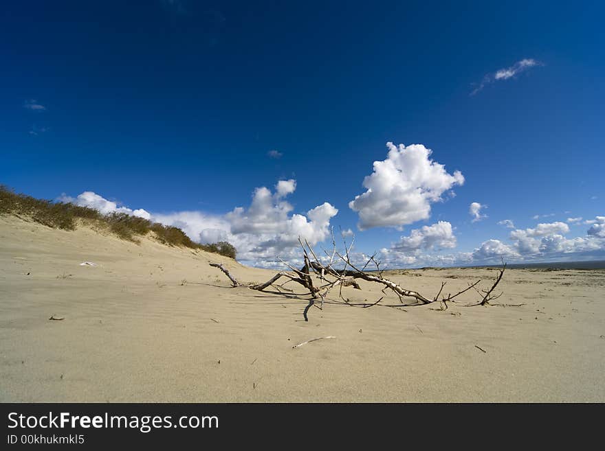 Seaside Baltic  - A Dune