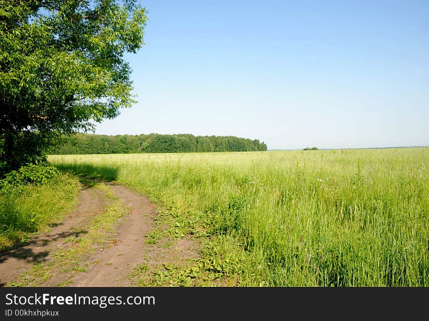 Country road