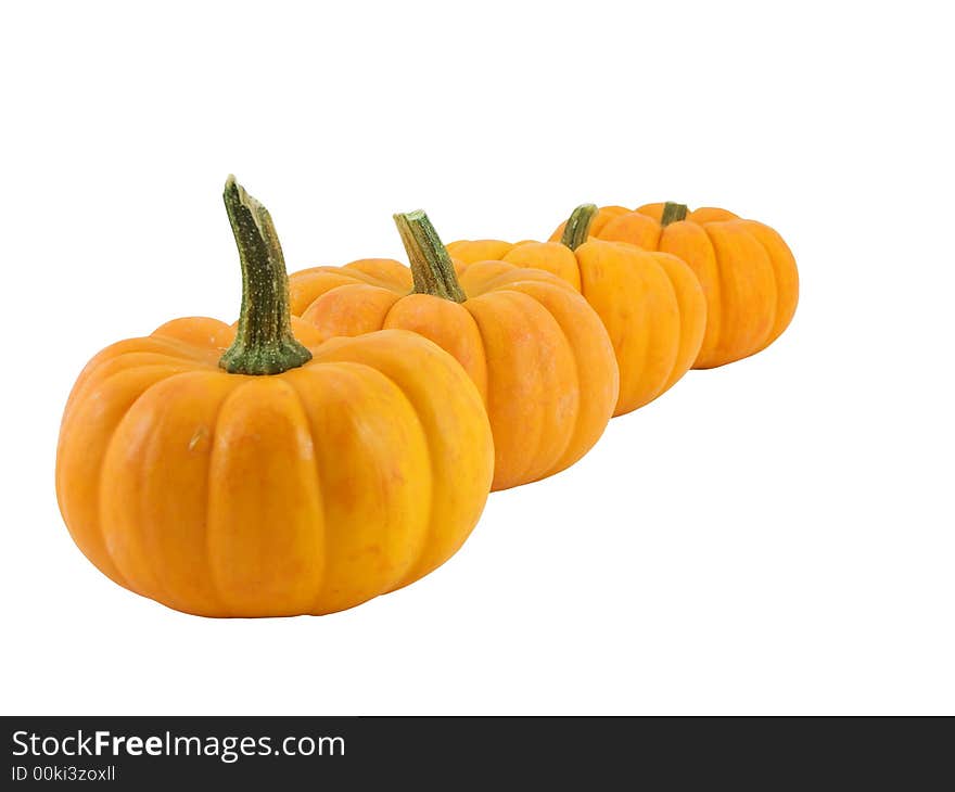 Four pumpkins in a line, isolated on white