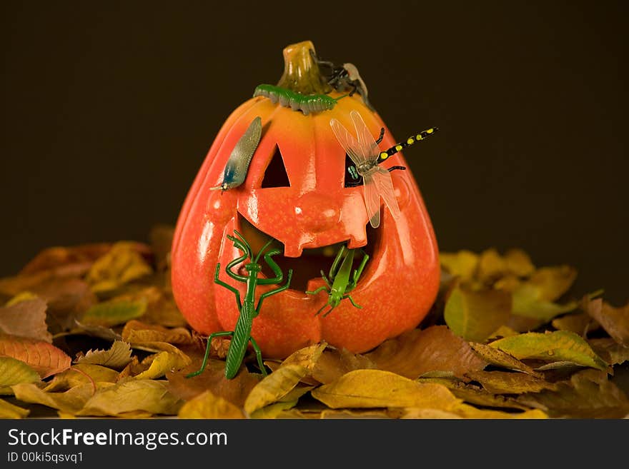 Halloween pumpkins and bugs, black background