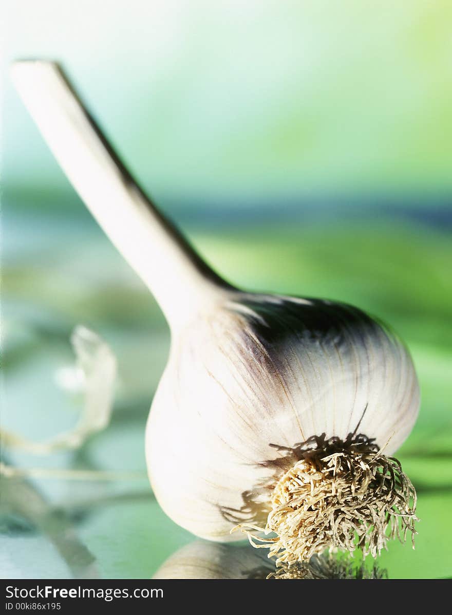 Garlic on a white background