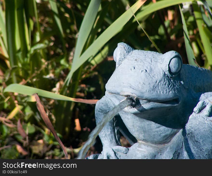 Frog spewing water into pond. Frog spewing water into pond