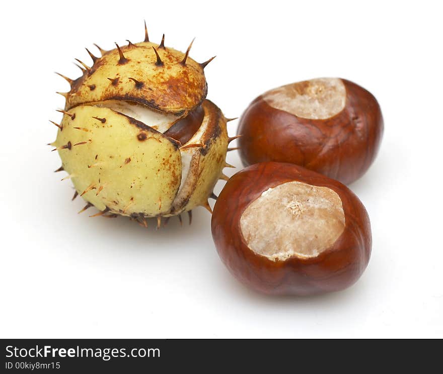 Group of chestnuts with and without husks isolated on white