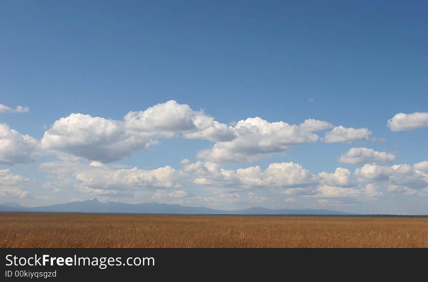 Sunny grassy field and partly cloudy sky; clean, crisp, sharp image. Sunny grassy field and partly cloudy sky; clean, crisp, sharp image