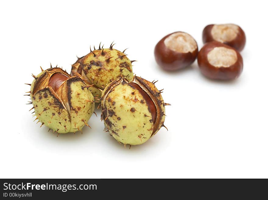 Group of chestnuts with and without husks isolated on white