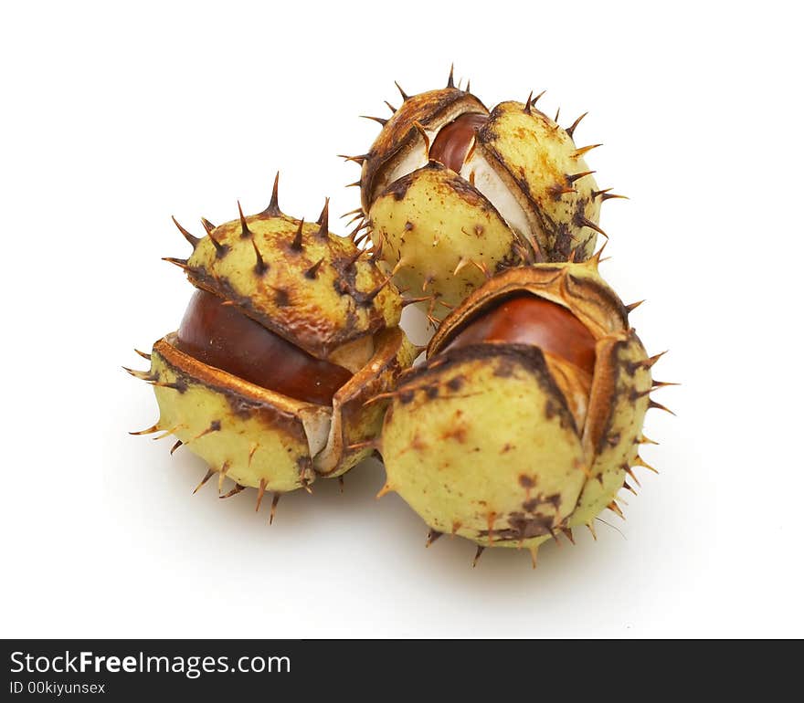 Group of chestnuts with  husks isolated on white