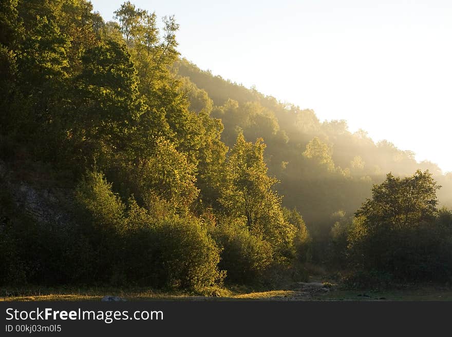 This photo of a wood has been made in mountains of Bashkiria. This photo of a wood has been made in mountains of Bashkiria.