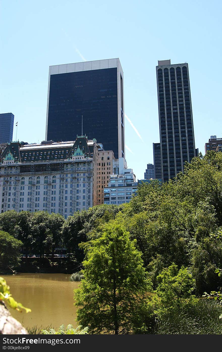 A view from central park new york. A view from central park new york