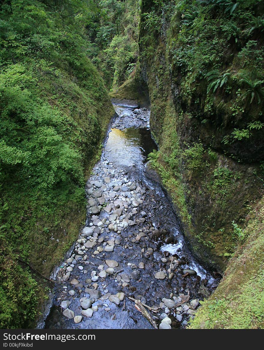 Top of Horsetail Falls, Oregon