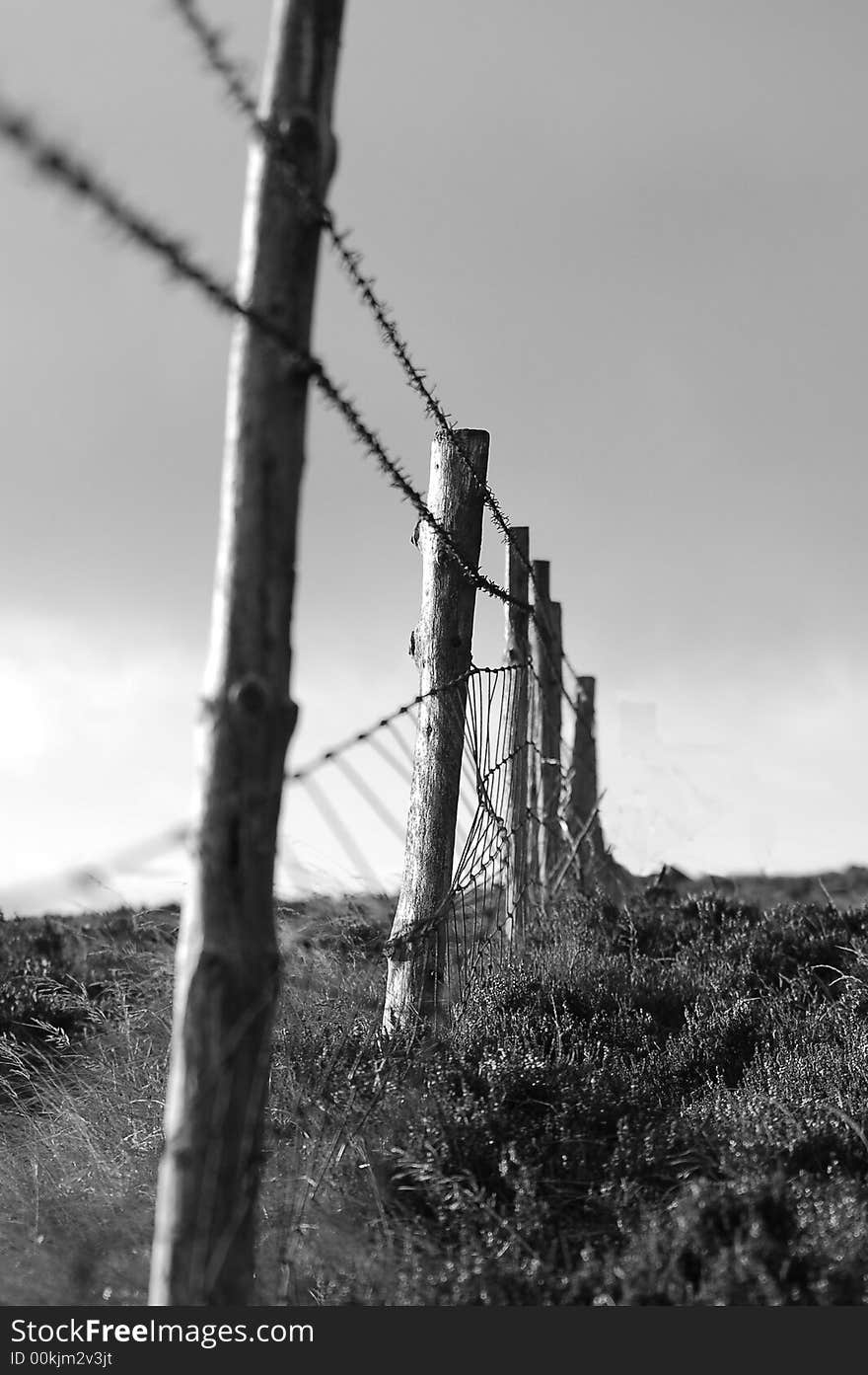 A Fence which marks the the end of my land. A Fence which marks the the end of my land.