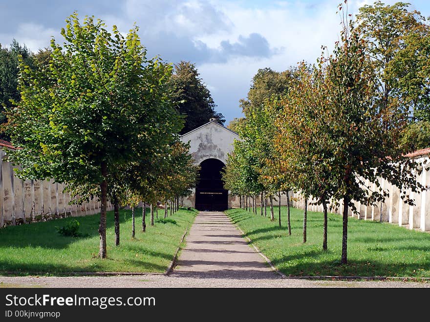 Tree alley