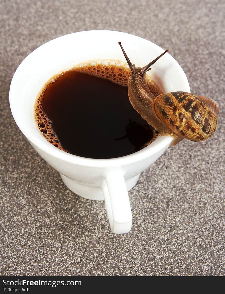 Thirsty snail sitting on top of the coffee cup.