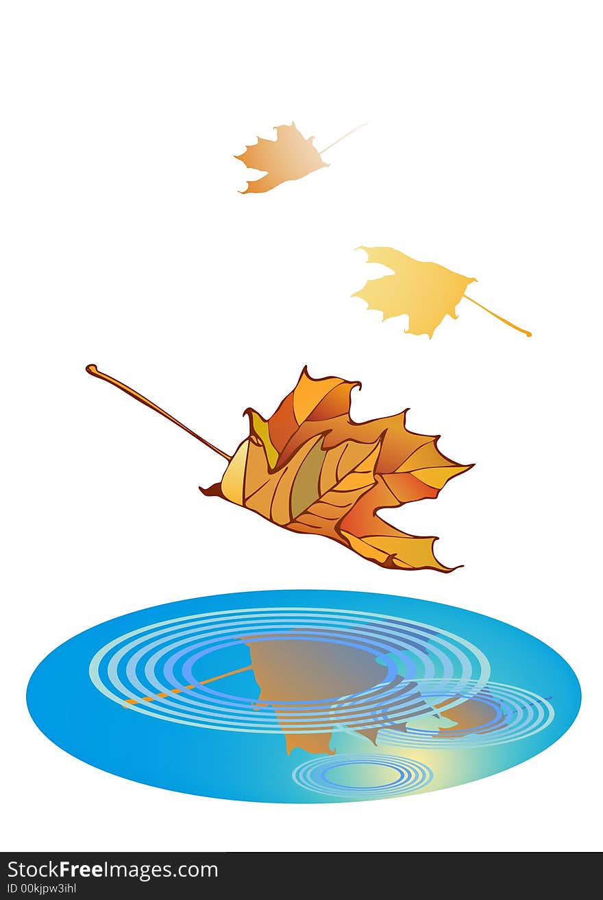 Indian summer-illustration of maple leaf during a fall