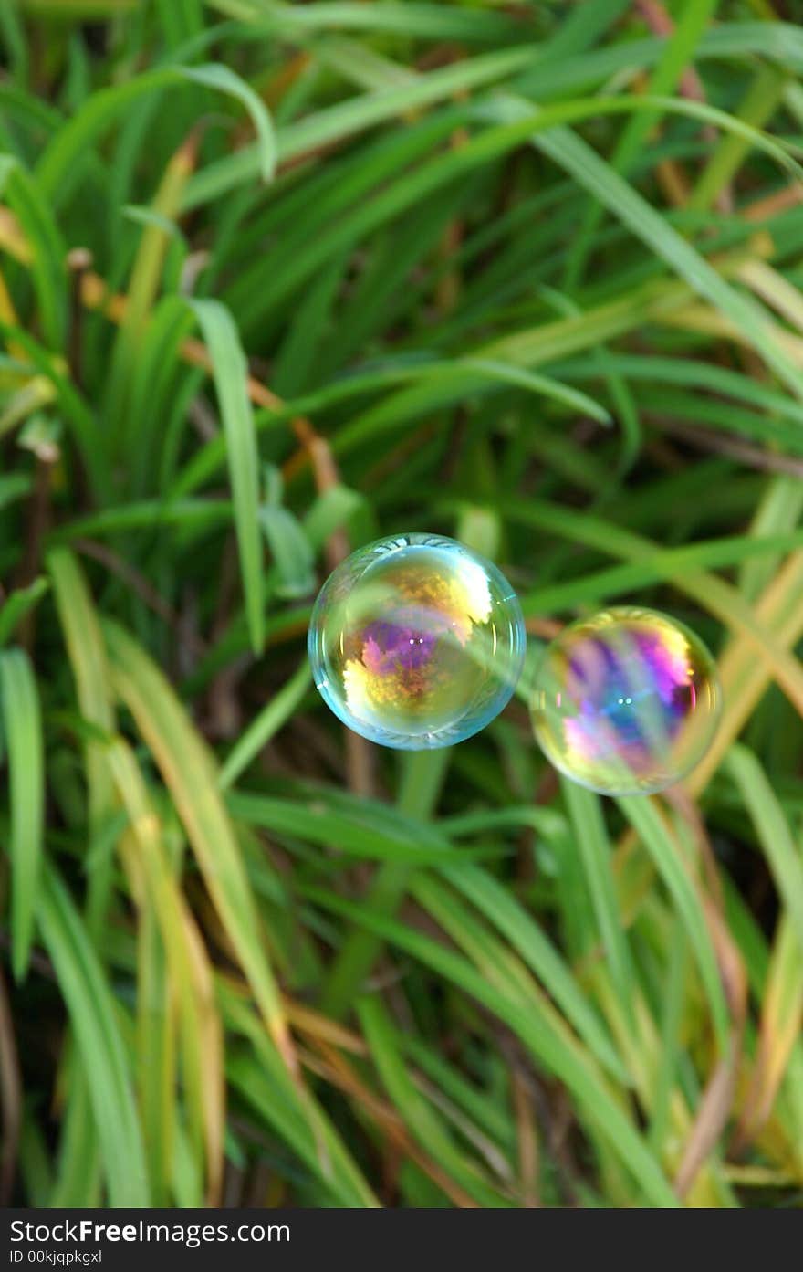 Two Bubbles Floating Around